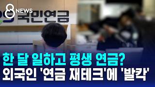 Work for a Month, Get Paid for Life... Is This Foreigner 'National Pension Hacking' / SBS 8 News
