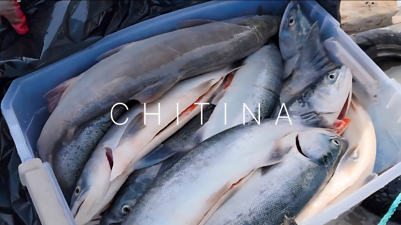 Alaska Diaries: Weekend in Chitina, Alaska | Dipnetting the Salmon Run 🐟