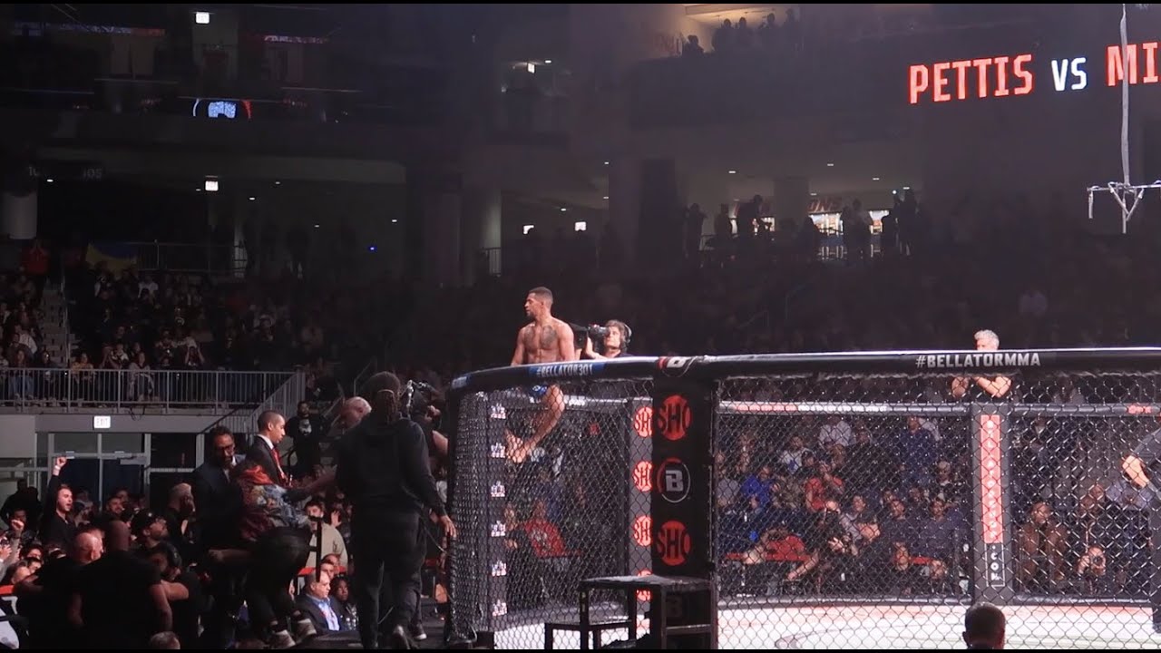 The last Bellator! Another Chicago vlog.