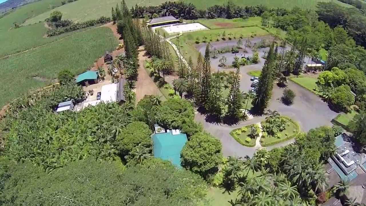 Domaine de L'etoile YouTube