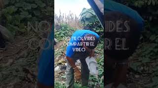 ejercitando para mantener la figura