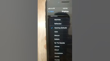 Thumbnail of iPhone ringtone evolution