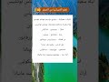 أساسيات اللغة الإسبانية تعلم الاسبانية بسهولة تعلم الإسبانية من الصفر 