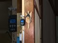 弓力測ってみた【弓道】