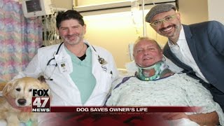 Dog hailed hero for saving owner's life