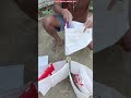 🌱🎋 DIY Multi-Section Planter Bed! | Reuse Old Bags for Smart Gardening ♻️🔥 #shorts #diygardening