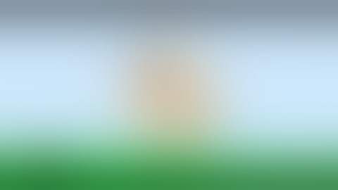 evolution of haminations intro 2018 to 2020