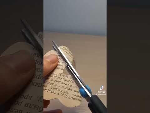 Kitap sayfasındna gül