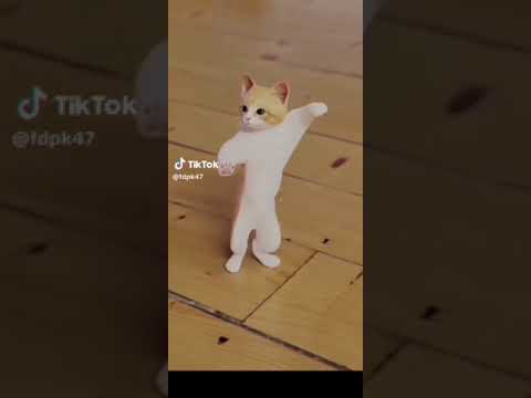 انا اسمي جوجو احب القطط عشان كذا حطيت اسمي والقطة ترقص