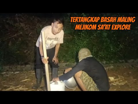 Aksi Maling Viral!