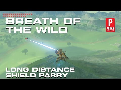 ZELDA: Breath of