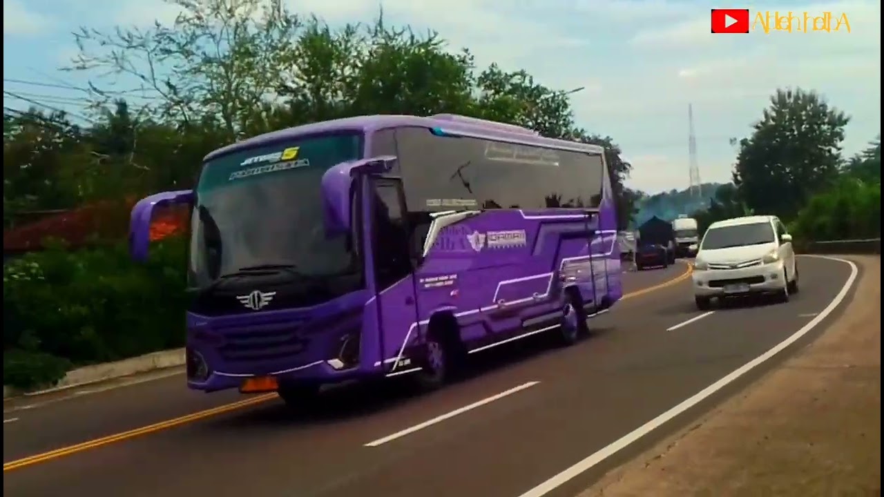 Hunting siang||sinar jaya ngeblong kanan||Duo Jatim melesat||efisiensi group Rosalia indah soos ‼️