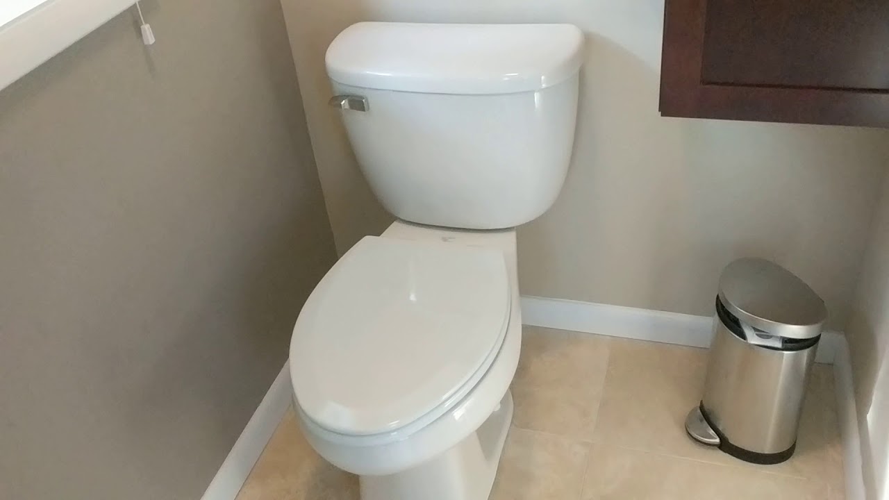 Mansfield Quantum model 503 pressure assist toilet flushing sound