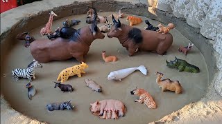 Download Lagu Animais de Plástico Presos na Lama Tigre Girafa Camelo Hipopótamo Zebra Rinoceronte orangotango  MP3