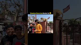 Monkey ne chashma churaya 😲 #souravjoshivlogs #piyushjoshivlogs #shorts #funny #video #viral #monkey