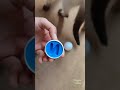 Color Sorting #asmr #satisfying#marblerun