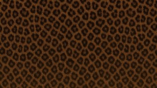 4 hour animal print screen.