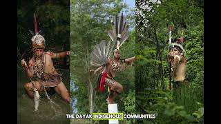 The Hidden Cost of Palm Oil: Indonesia's Vanishing Rainforests.