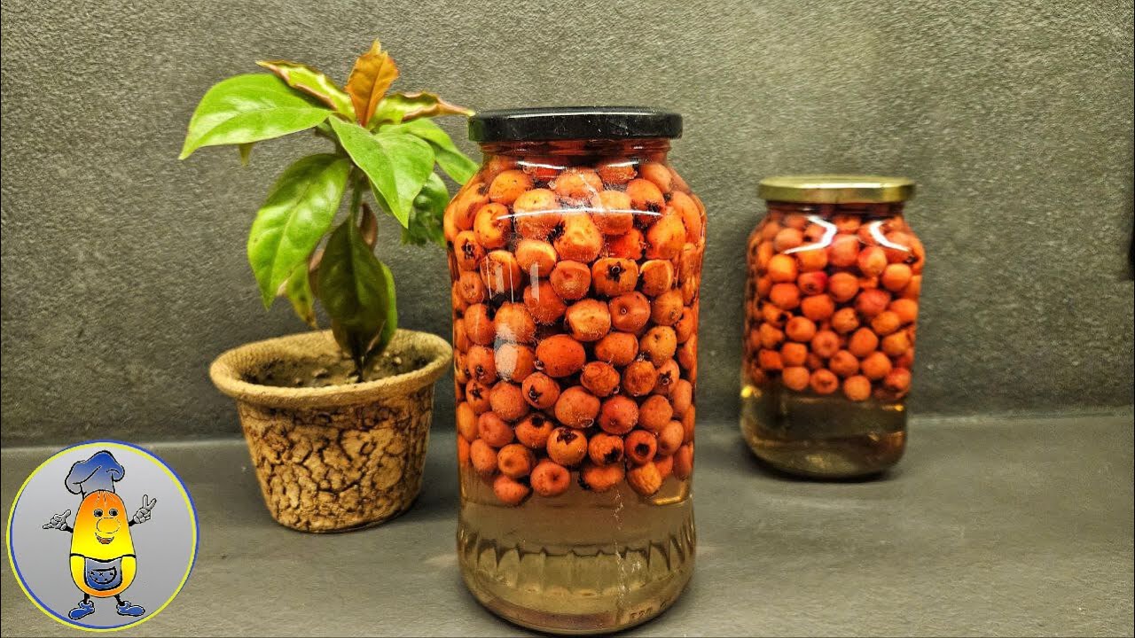 Herz und Nerven werden es dir danken – WEIßDORN im Sirup für den Winter