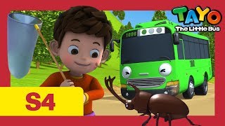 Tayo Español la Serie 4 l #1 La tarea de Duri l Tayo el pequeño Autobús