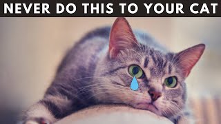 15 Things Cat Will NEVER FORGIVE You - (Number 10 Is Very Disturbing)
