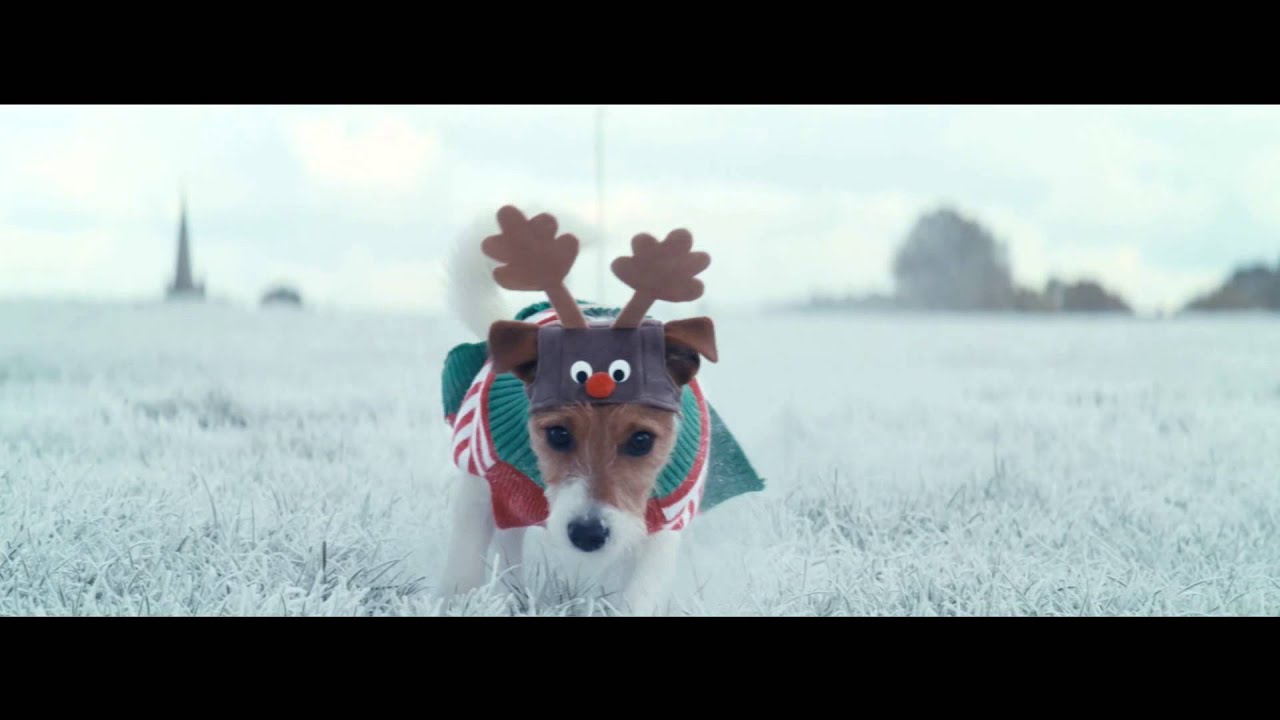 ASDA Christmas Dog Walkers YouTube