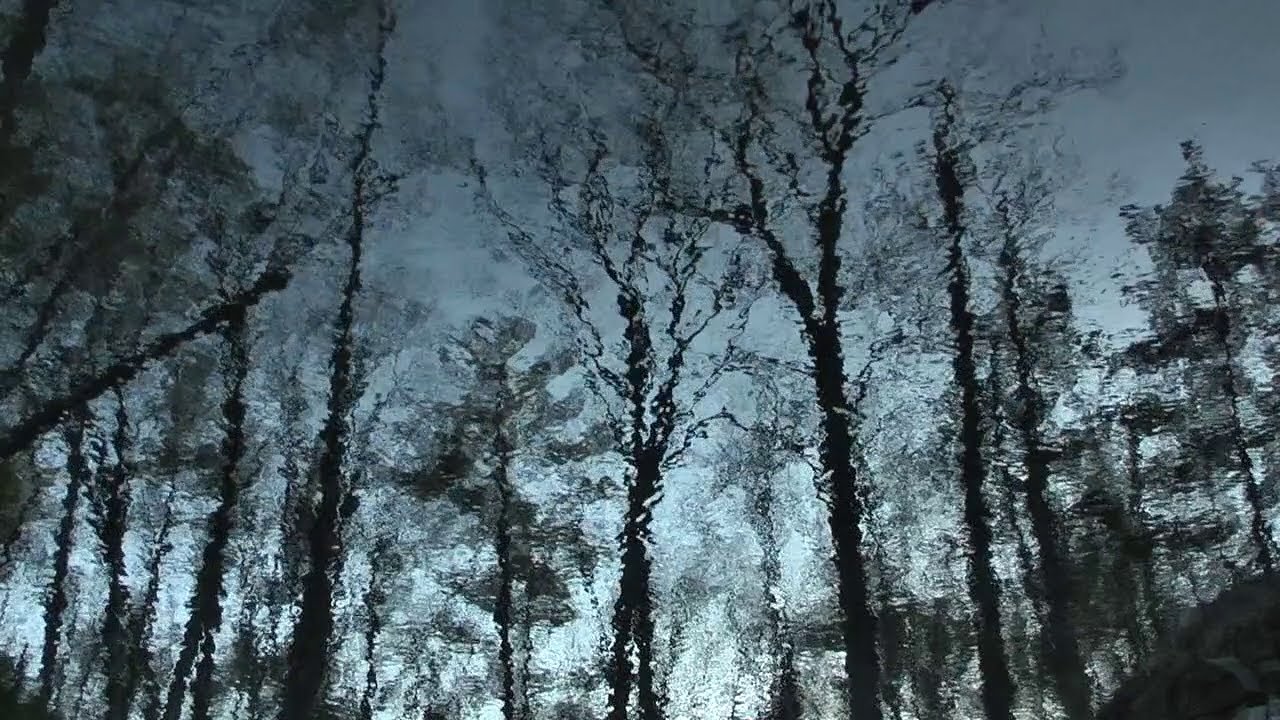 Cinema-ul din tine