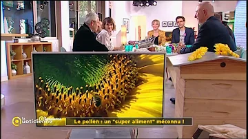 Quel est le pollen en ce moment ?