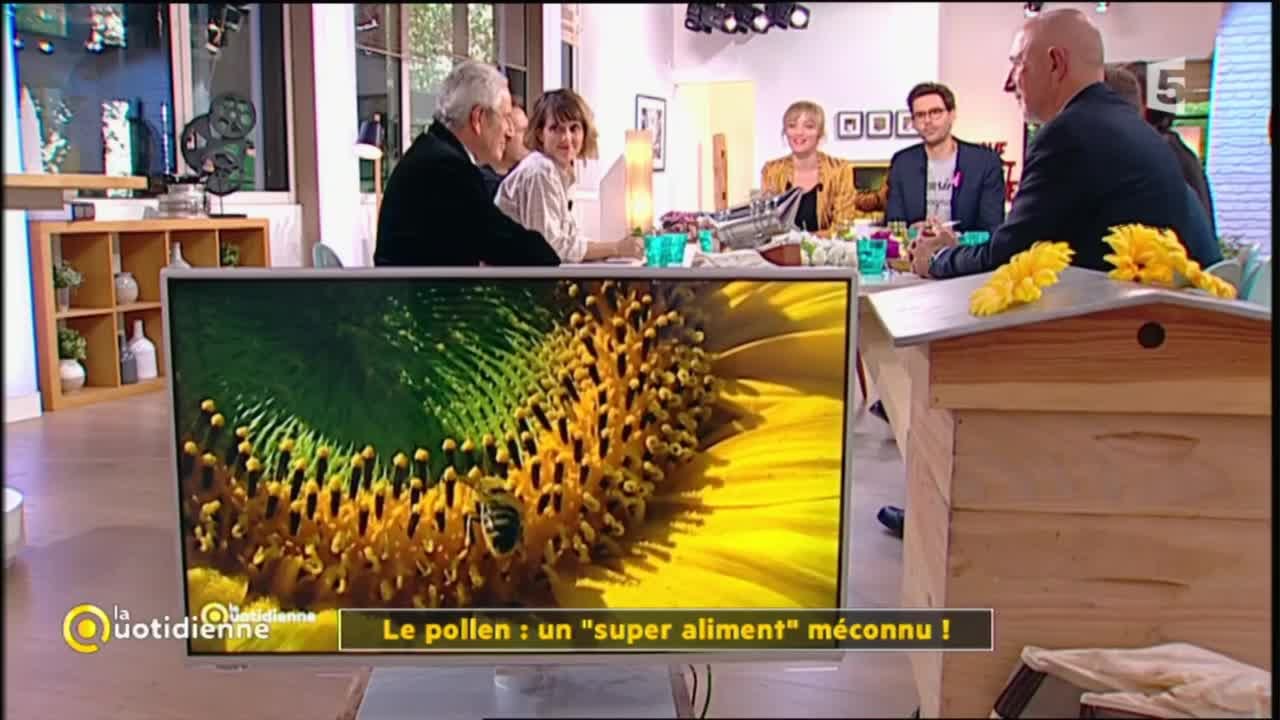 Pollen sec bio de Châtaignier français - 230 gr • Rucher Royal