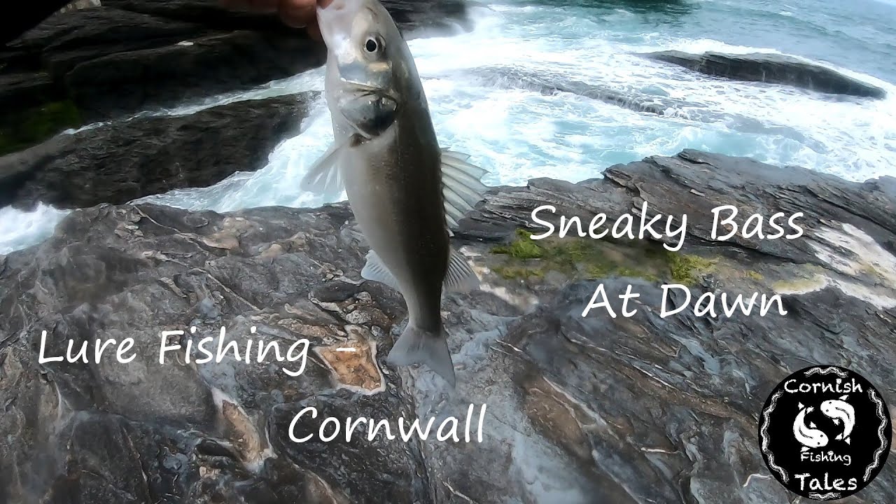 Lure Fishing Cornwall sneaky bass at dawn YouTube