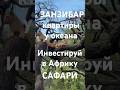 #сафари#лев#слон#занзибар#квартиры#рай#кайф#путешествияафрика#квартирыуморя#инвестиции#доходы#африка