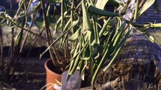 Es hat sich was verändert ! | Kaninchen, Hühner und Co.