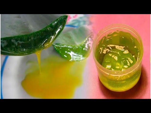 SAMO 2 KAŠIČICE: Uzimajte ovaj STARI LEK svaki dan i izlečite GASTRITIS,zatvori,BUBREŽNE kamence!