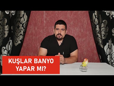 Muhabbet Kuşları Yıkanır mı? Banyo Nasıl Hazırlanmalıdır?