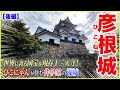 【彦根城／後編】「普通は絶対行かない！」超マニアックルート！「登り石垣」全５ヶ所コンプリートの旅、完結編🏯【日本100名城／国宝】＠滋賀県彦根市