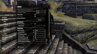 Elder Scrolls Online camera bug/glitch.