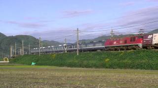 225系5000番台第1編成+223系日根野区E417編成併結試運転　貨物列車と離合