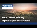 Кліматичний виклик: українські аграрії потерпають від змін клімату