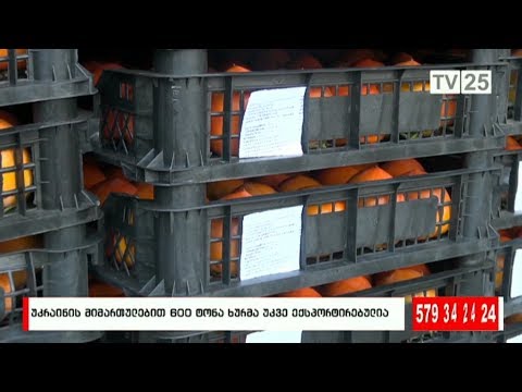 უკრაინის მიმართულებით 600 ტონა ხურმა უკვე ექსპორტირებულია