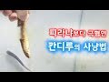 산채로 뜯어먹는 칸디루의 사냥영상 (혐오주의) / Candiru asu attack