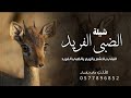 شيلة اقبلي ياخشف ياالريم ياالضبي الفريد   افخم شيلة مدح بنات حماسيه طرررب