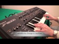 Roland JP8000 custom sounds