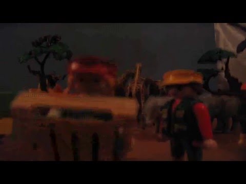safari playmobil
