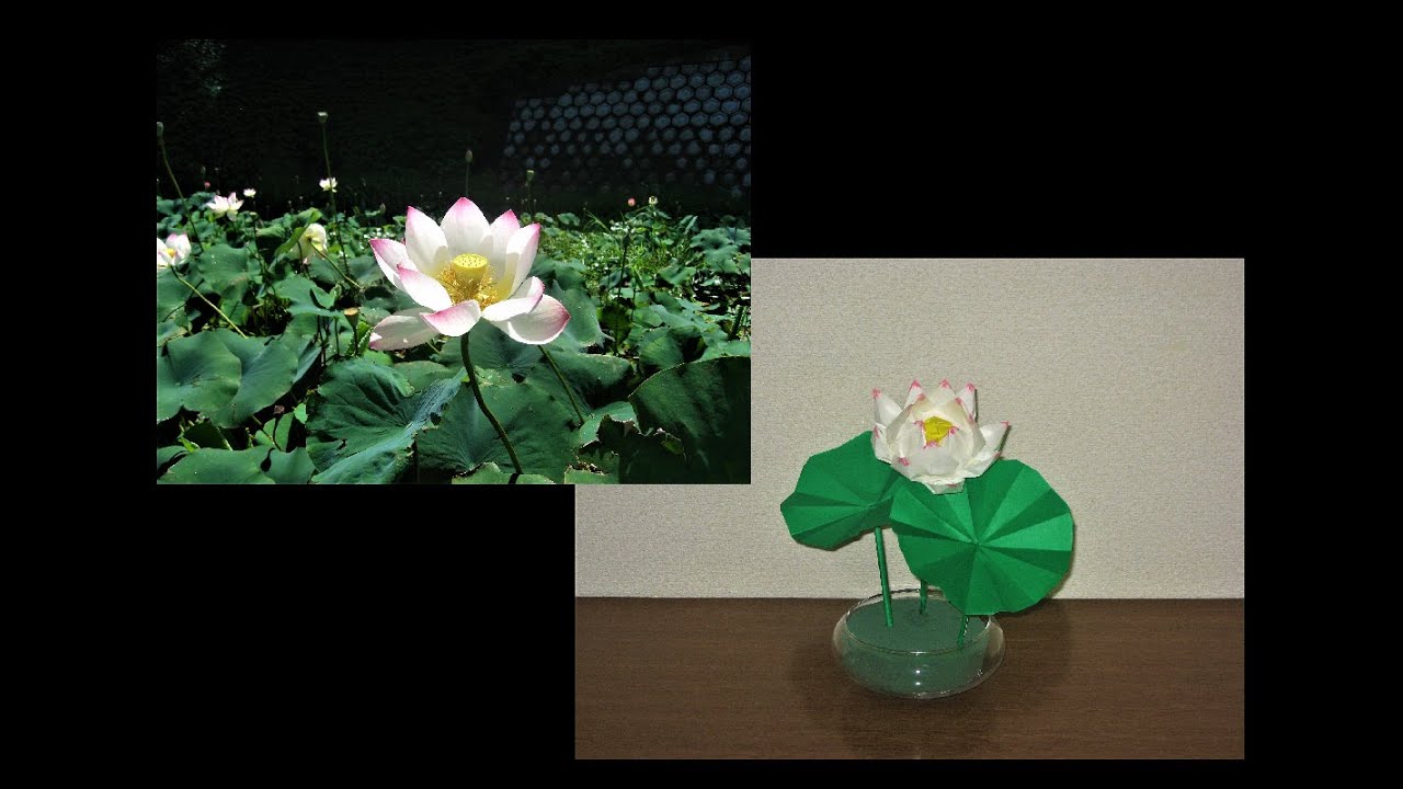 折り紙 蓮の花を作ってみました Easy Make Origami Lotus Flower Ninntou Origami 折り紙 モンスター