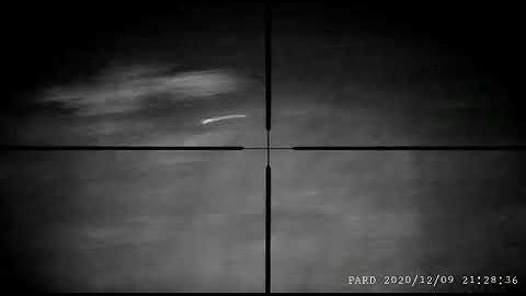 Predator control with a PARD NV007A (video 2)