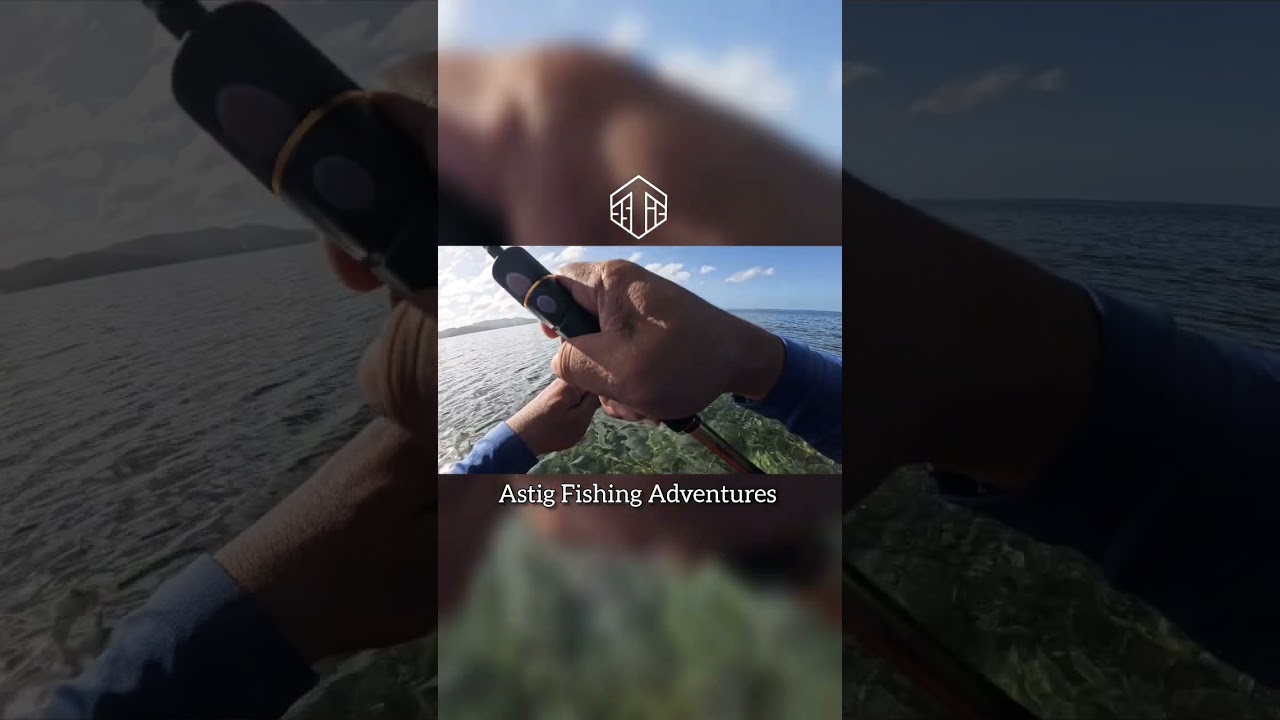 EPIC UNBELIEVABLE FISH I CAUGHT 