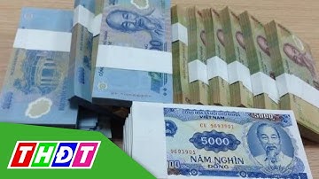 Tết Canh Tý 2020 tiếp tục không in mới tiền lẻ | THDT