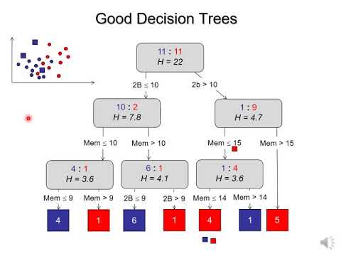 Video: Was ist Pruning beim Deep Learning?