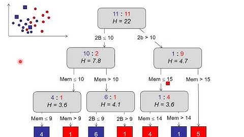 D26 Decision Trees V: Pruning Trees
