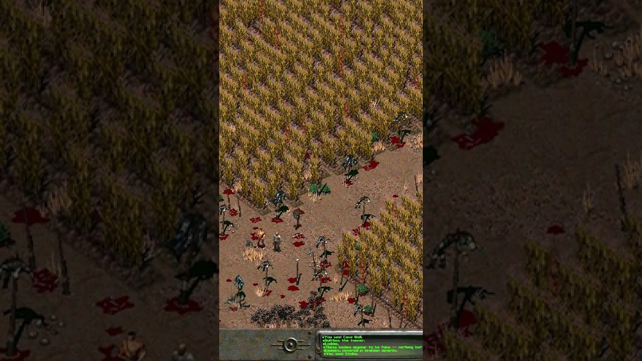 Fallout 2 Secret GHOST Farm Explained...